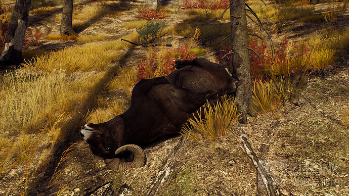 HighresScreenshot00000