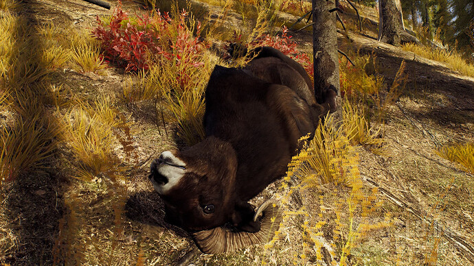 HighresScreenshot00001