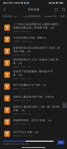 Screenshot_2025-01-21-19-42-19-126_com.tencent.mtt