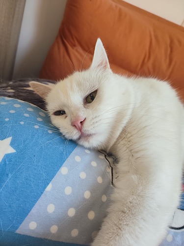 IMG_20250107_162507_1