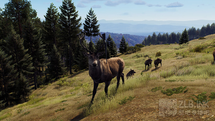 HighresScreenshot00001