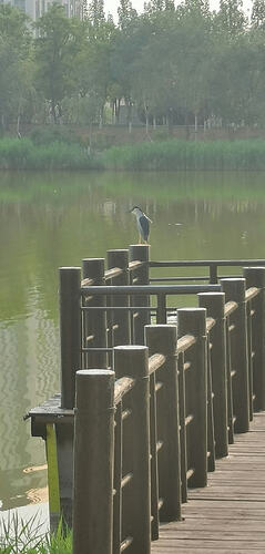 Screenshot_20260301_215652_com.huawei.photos_edit_485457364112382