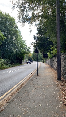 IMG_2011