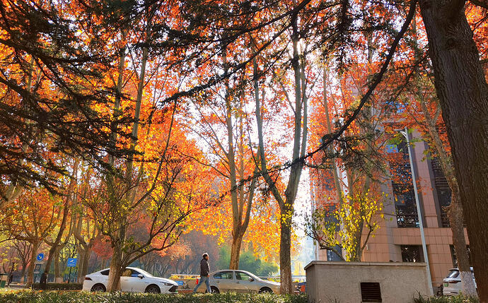 IMG_20231203_230005_edit_1332760647333092