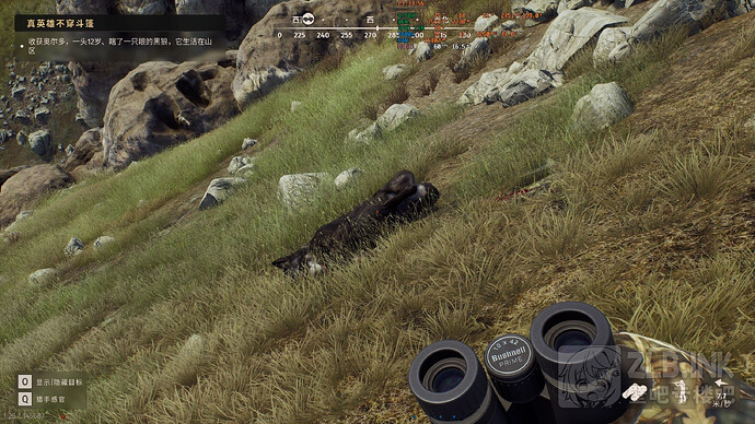 P)LU_53@VNO4D2WLV5(MAG