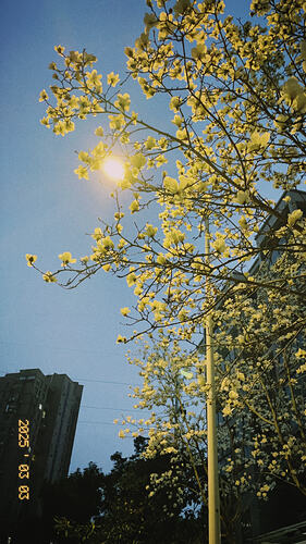 0A5FA6E3-4F0A-4780-BDEB-C9C7EBC010DD-5952-000003354C7E632F