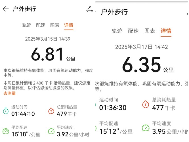 Collage_20250317_201644