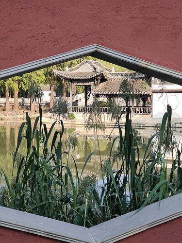 IMG20251010154515-2b9cc08969db