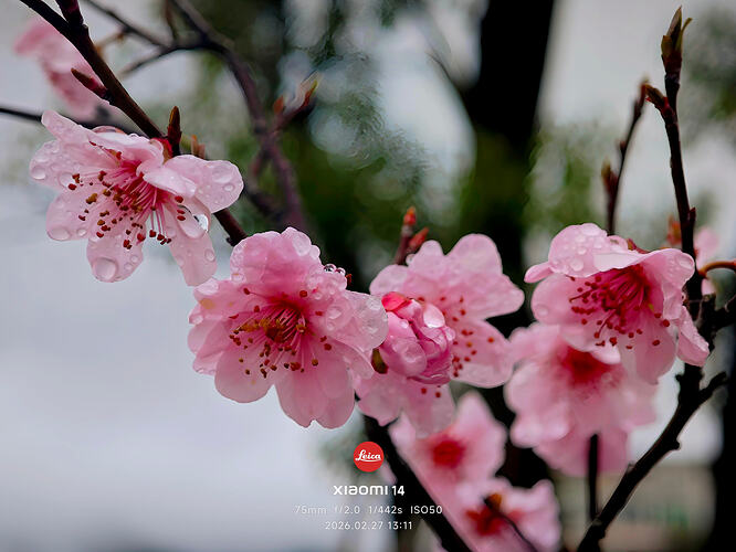 IMG_20260227_131123_1772203317876edit