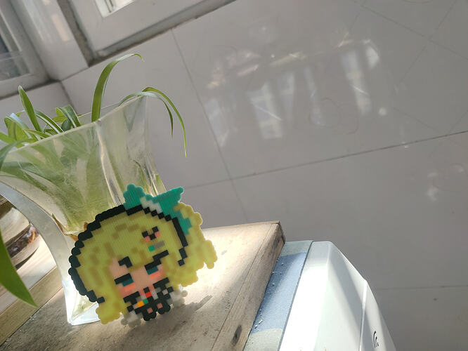 IMG20260221120034-b5e59bc7d2c2