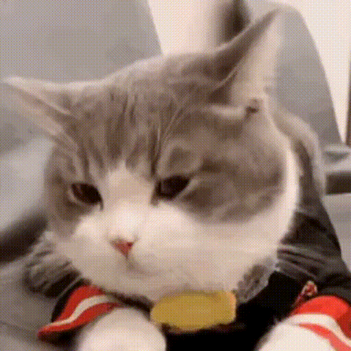 :46: