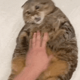 :83: