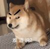 :_2: