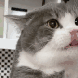 :132: