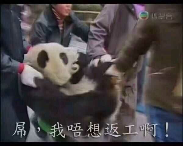 QQ图片20260222211906