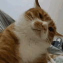 :1: :1:
