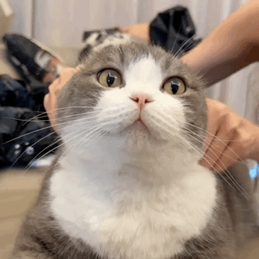 :155: