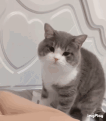 :154:
